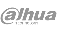 dahua